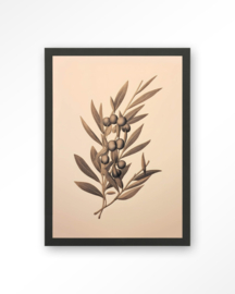 24104 | Art Print - Oliva | Urban Cotton