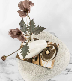 BZ2798 | Helleboris - rose | HomeBound by KY