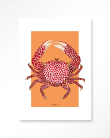 Art Print - Trapezia | Urban Cotton