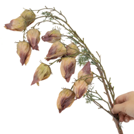 BZ4346 | Kunsttak Leucocoryne - taupe | HomeBound by KY 