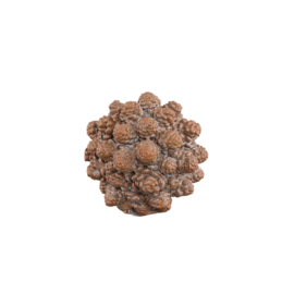 734642 | Yosiel pine cones ball statue L - brown | PTMD