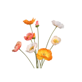 733906 | Poppy flower bundle - orange | PTMD