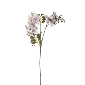 734186 | Garden flower cardinal - cream | PTMD