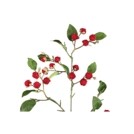 726660 | Leaves plant raspberry spray with leaves - red | PTMD