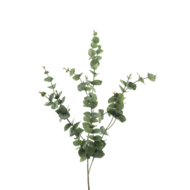 825010258 | Eucalyptus spray Mirai spring 85cm | Isaa