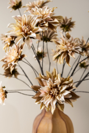 736753 | Dahlia 5 flowers  - beige | PTMD