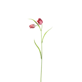 721115 | Garden Flower Red fritillaria spray with leaves | PTMD