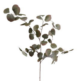 86130 | Eucalyptus 92 cm - groen | Isaa