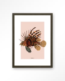 Art Print - Lio | Urban Cotton