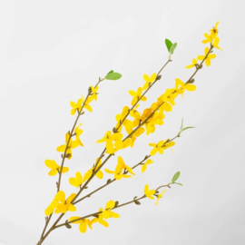 BZ3106 | Kunsttak Forsythia - geel | HomeBound by KY