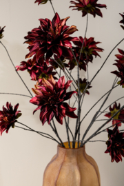 736754 | Dahlia 5 flowers - burgundy | PTMD