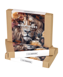 Doosje miniposters met houder - wild  | Give-x