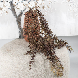 BZ7212 | Kunsttak eucalyptus hangend - mauve | HomeBound by Kolony