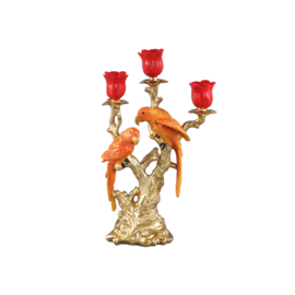 725168 | Marioe parrot candleholder - orange | PTMD