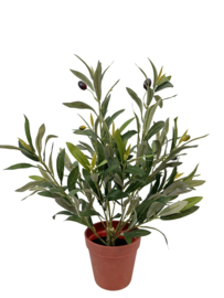 BK8882 | Kunstplant Olivio olea europaea 47cm | HomeBound by KY 