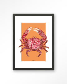 Art Print - Trapezia | Urban Cotton