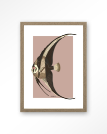 Art Print - Mola Mola | Urban Cotton