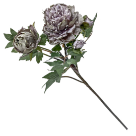 BZ4279 | Kunstbloem pioen 63cm - paars | HomeBound by KY
