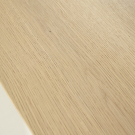 96392 | Eettafel Dex  250x100x77 - naturel | Eleonora