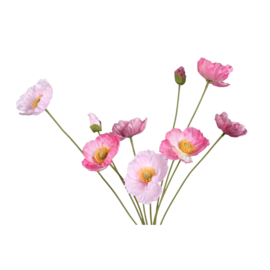 733907 | Poppy flower bundle - pink | PTMD