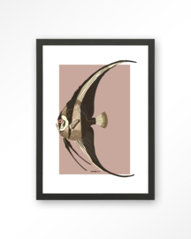 Art Print - Mola Mola | Urban Cotton