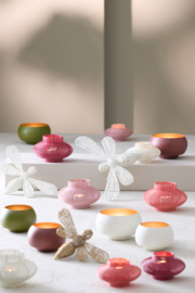 7615043 | Ornament 29x26,5x6 cm CICADA - crème | Light & Living