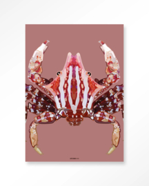 24079 | Art Print - Villo Donus | Urban Cotton