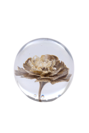 7492843 | Ornament Ø8x8 cm FLOWER - glas crème | Light & Living