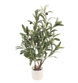 BK8883 | Kunstplant Olea olijf 60cm | HomeBound by KY