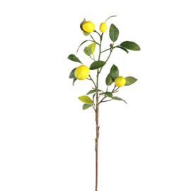 726659 | Leaves plant lemon spray with leaves - yellow | PTMD
