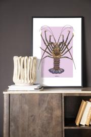 Art Print - Langosta | Urban Cotton