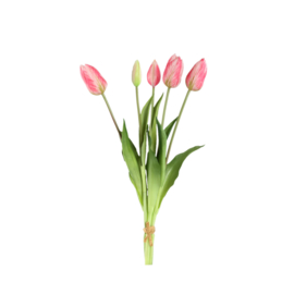 726210 | Tulip flower bush long (5psc) - pink | PTMD