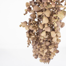 BZ7212 | Kunsttak eucalyptus hangend - mauve | HomeBound by Kolony