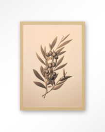 24104 | Art Print - Oliva | Urban Cotton
