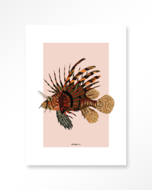 Art Print - Lio | Urban Cotton