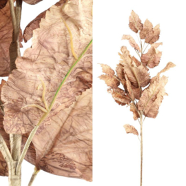 713488 | Leaves Plant leaf spray brown | PTMD 