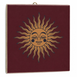 TE3239 | Tegeltje solar | HomeBound by KY