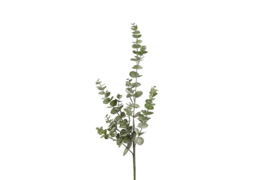 779842 | Kunsttak Eucalyptus - groen | Countryfield 