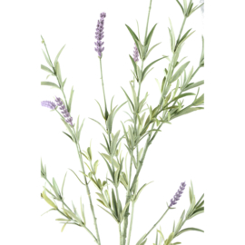721376 | Twig Plant lavendel spray - paars/groen | PTMD