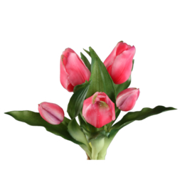 726202 | Tulip flower bush short (5psc) - pink | PTMD
