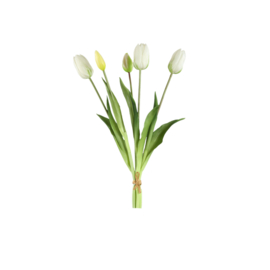 726209 | Tulip flower bush long (5psc) - white | PTMD