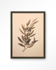 24104 | Art Print - Oliva | Urban Cotton