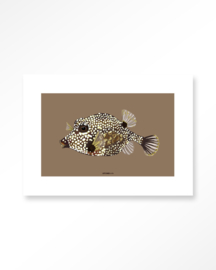 Art Print - Bisou | Urban Cotton