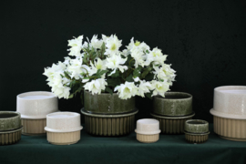722576 | Shaunny pot half ribbed XS - green | PTMD