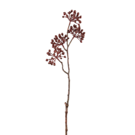 705631 | Berry Plant berry spray - burgundy | PTMD