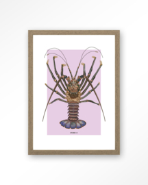Art Print - Langosta | Urban Cotton