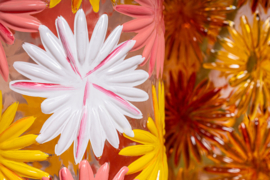 733861 | Joanna vase handpainted flowers - orange | PTMD