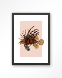 Art Print - Lio | Urban Cotton
