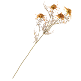 BZ6360 | Distel - oranje | HomeBound by KY
