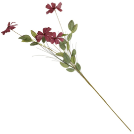 BZ2856 | Veldboeket madelief - burgundy | HomeBound by KY